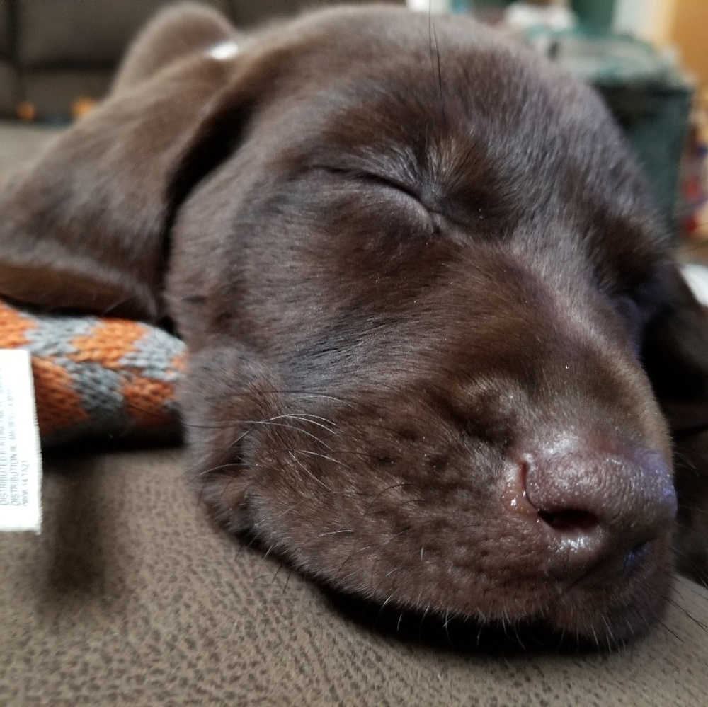 Meet your Posher, Stephanie